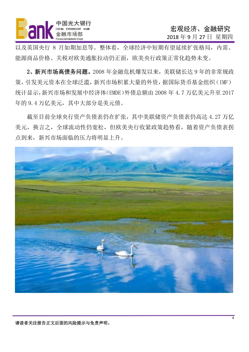 宏观经济、金融研究：警惕新兴市场远忧.pdf_第4页