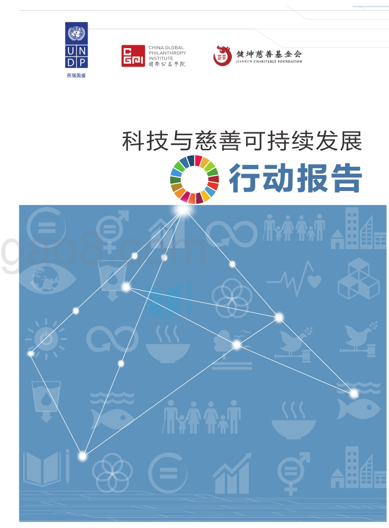 科技与慈善可持续发展行动报告(1).pdf_第2页