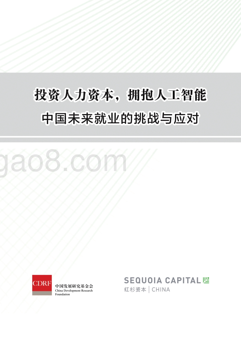 中国未来就业的挑战与应对：投资人力资本，拥抱人工智能.pdf_第1页