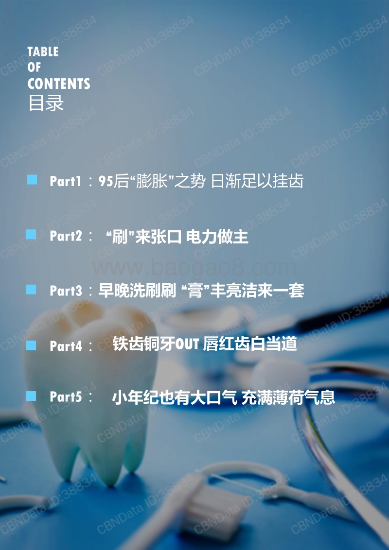 95后线上牙膏牙刷用品消费研究.pdf_第2页
