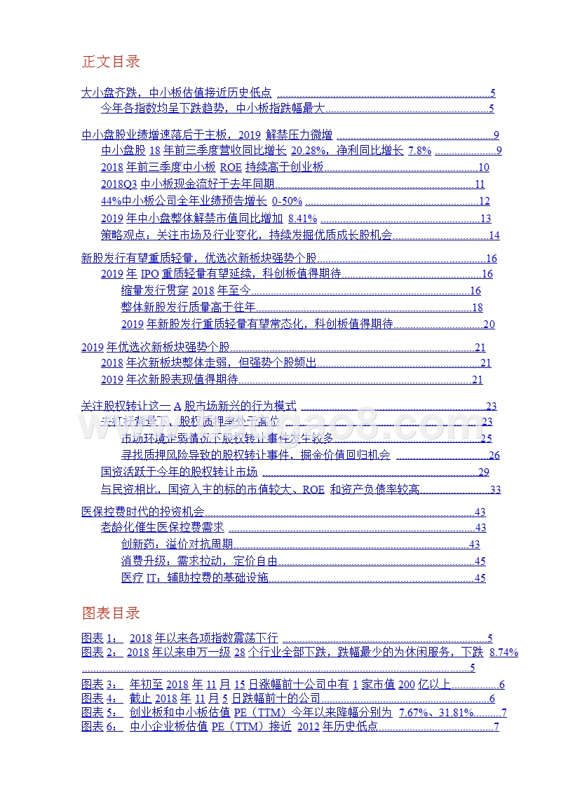 2019年中小市值投资策略分析报告.pptx_第2页