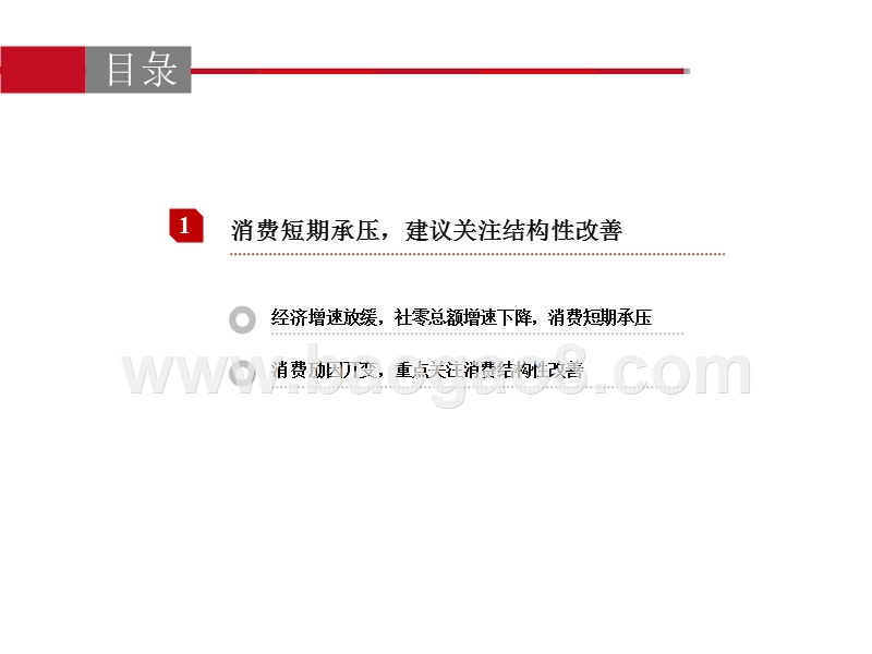 2019年休闲服务业投资策略分析报告.pptx_第4页