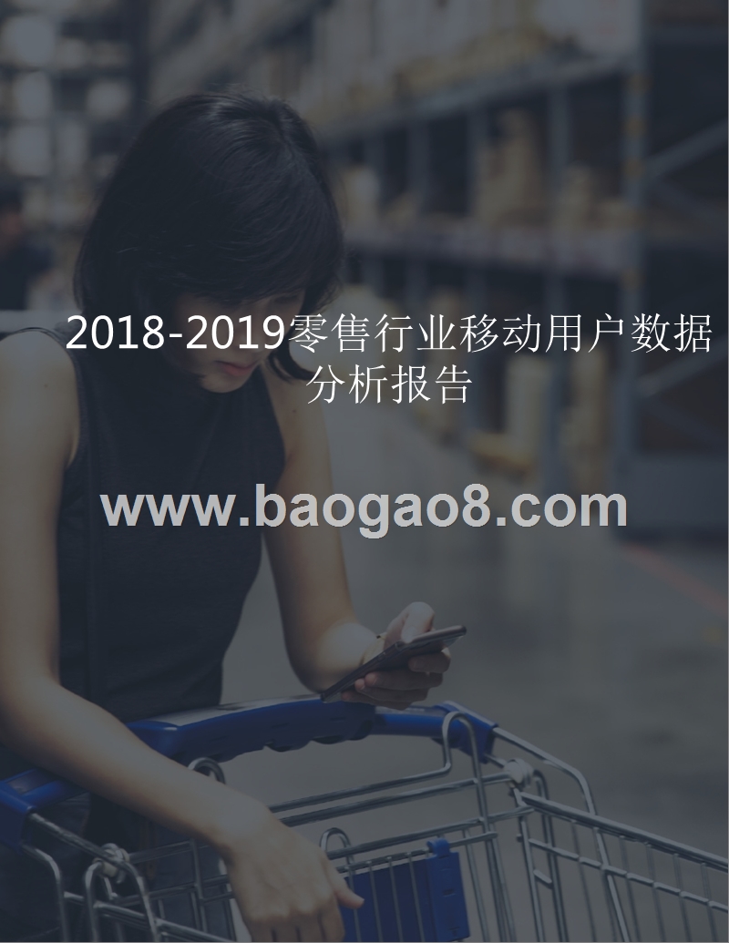 2018-2019零售行业移动用户数据分析报告.pptx_第1页