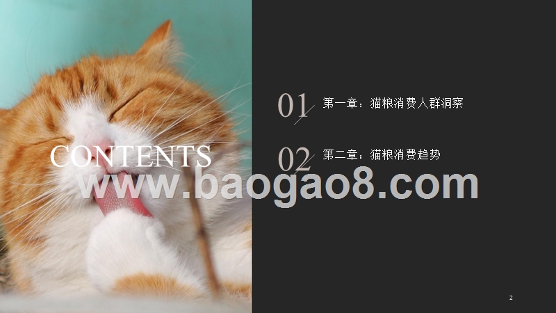 2018-2019宠物猫粮消费趋势分析报告（PPT）.pptx_第2页