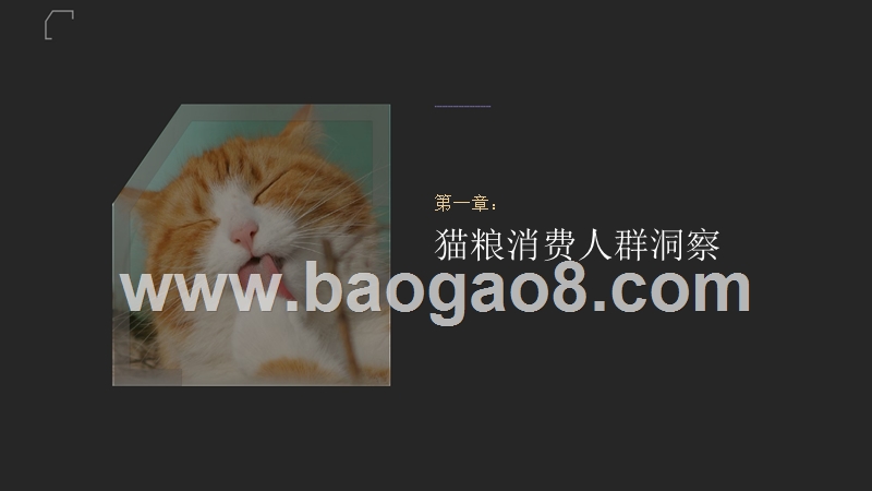 2018-2019宠物猫粮消费趋势分析报告（PPT）.pptx_第3页