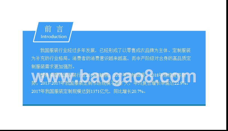 2018-2019中国服装定制行业研究报告.pptx_第2页