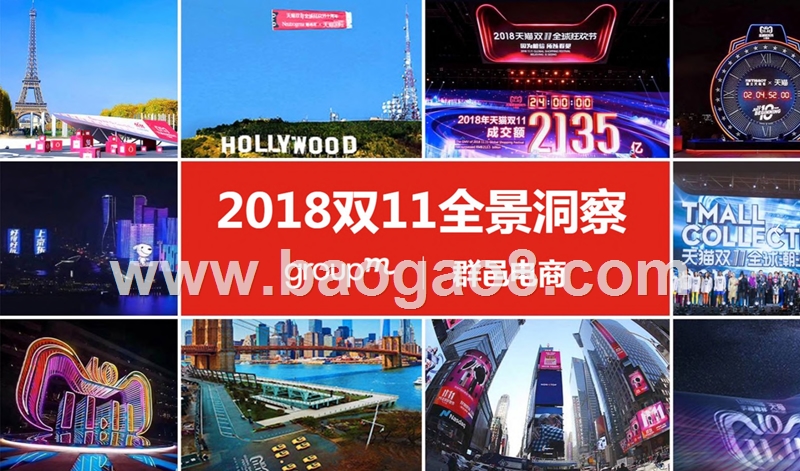 2018双11全景洞察.pptx_第1页