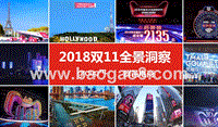 2018双11全景洞察.pptx