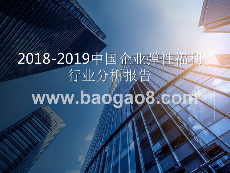 2018-2019中国企业弹性福利行业分析报告.pptx_第1页
