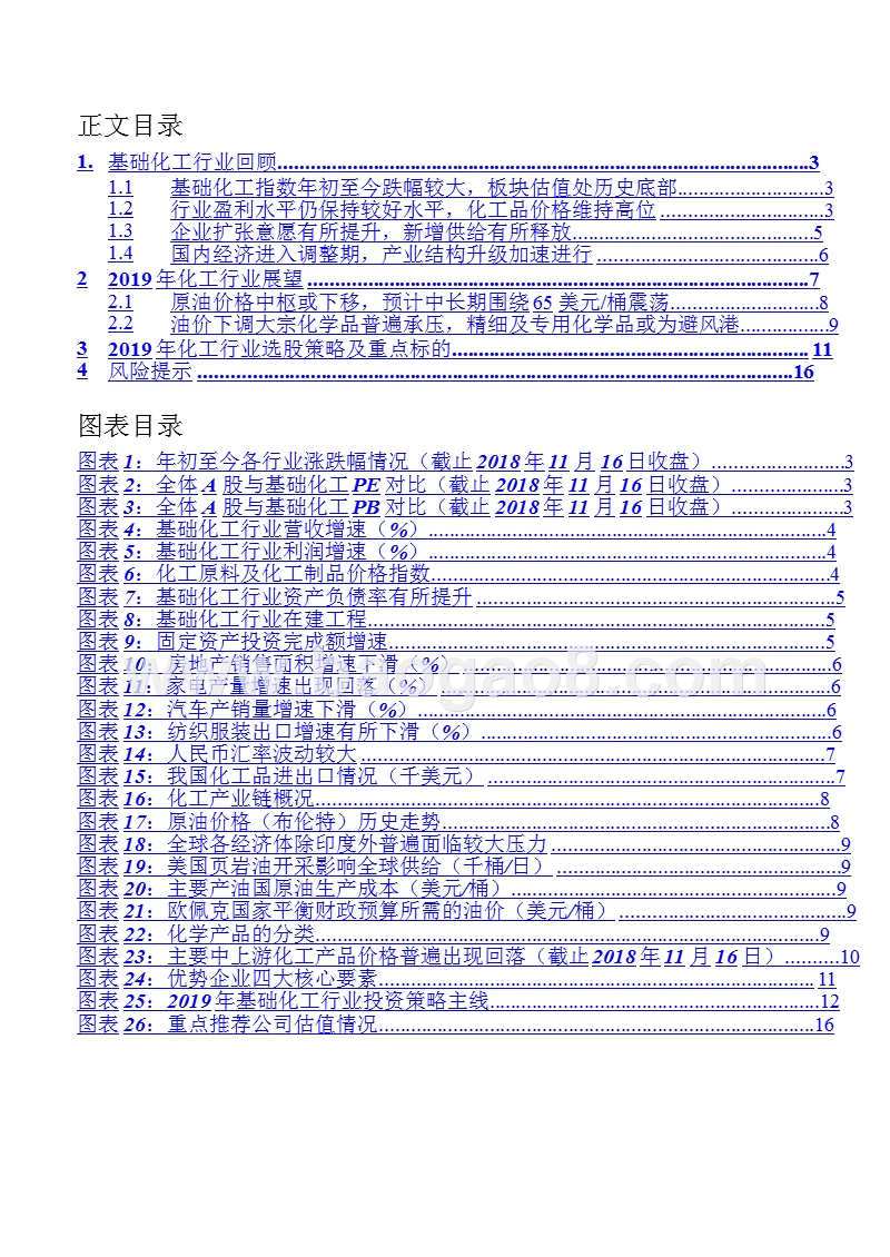 2019年度基础化工行业投资策略分析报告.pptx_第2页