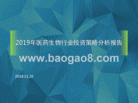 2019年医药生物行业投资策略分析报告.pptx