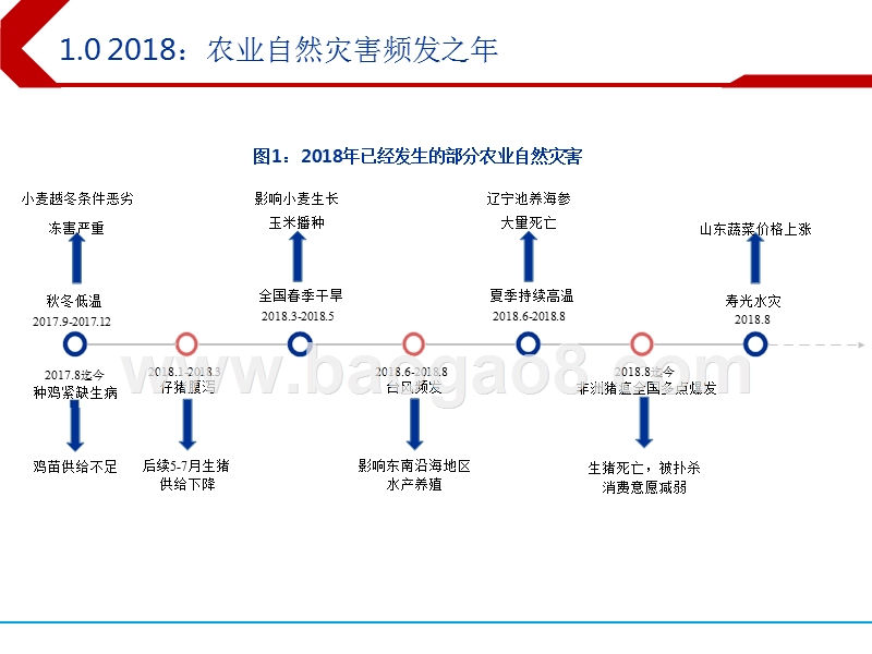 2019年农林牧渔养殖行业投资分析报告.pptx_第4页