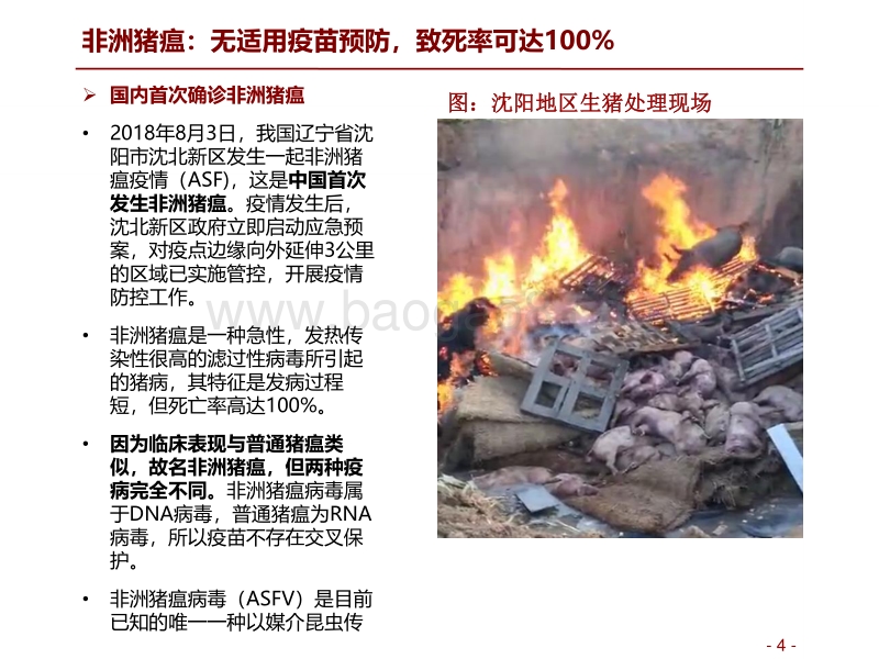 非洲猪瘟专题报告：疫情已暂被控制，预防和控制计划是关键.pdf_第4页