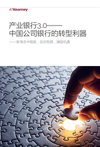 产业银行3.0：中国公司银行的转型利器.pdf