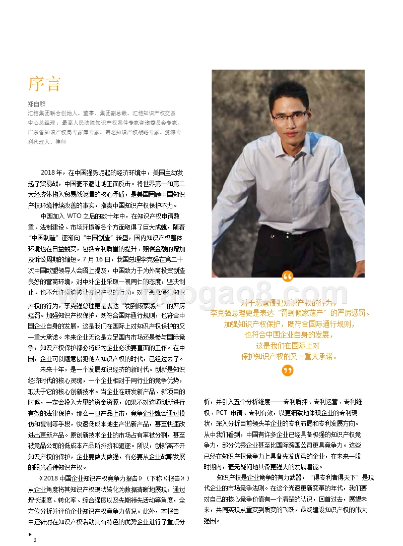 2018-2019中国企业知识产权竞争力研究报告.pptx_第2页