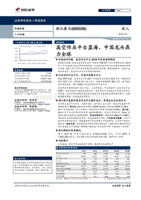 浙江鼎力：高空作业平台蓝海，中国龙头鼎力全球.pdf