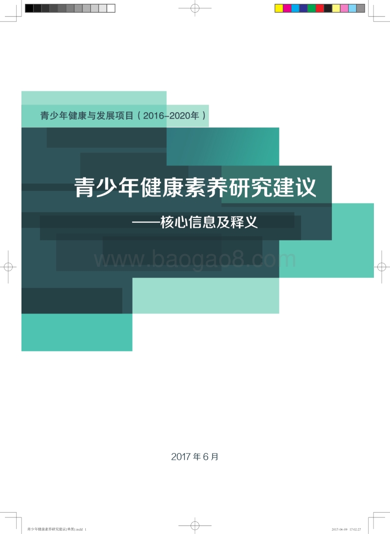 青少年健康素养研究建议——核心信息及释义.pdf_第1页