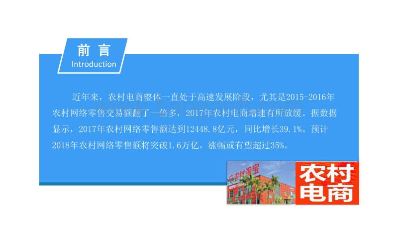 2018中国农村电商行业市场前景研究报告.pdf_第2页