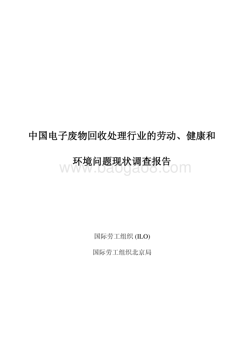 中国电子废物回收处理行业的劳动、健康和环境问题现状调查报告.pdf_第2页