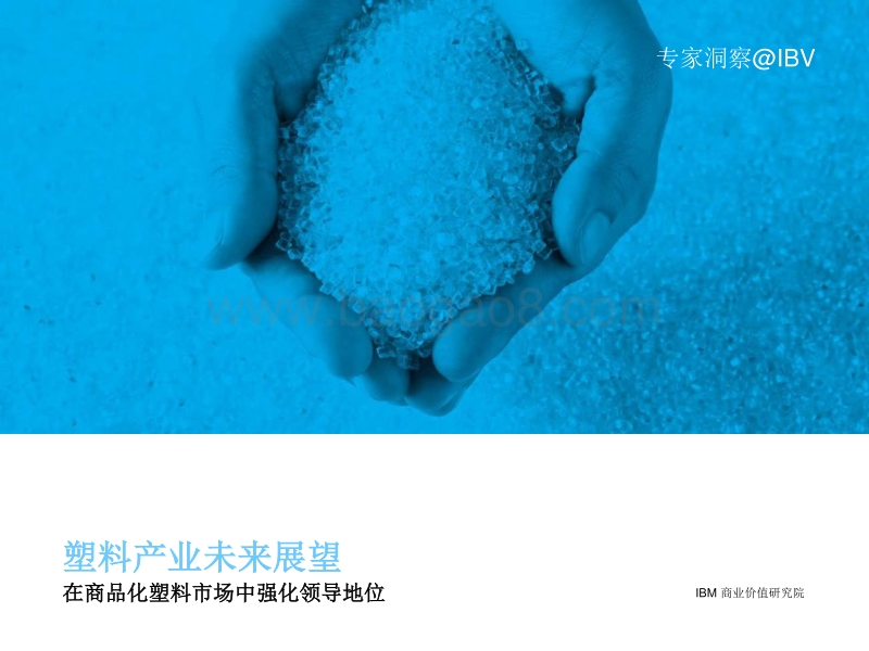 塑料产业未来展望：在商品化塑料市场中强化领导地位.pdf_第1页