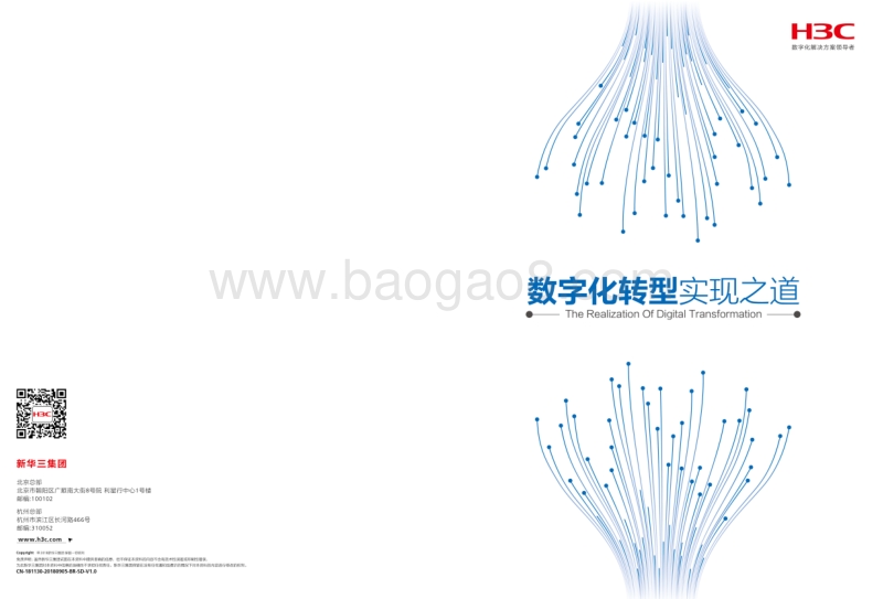 数字化转型实现之道.pdf_第1页