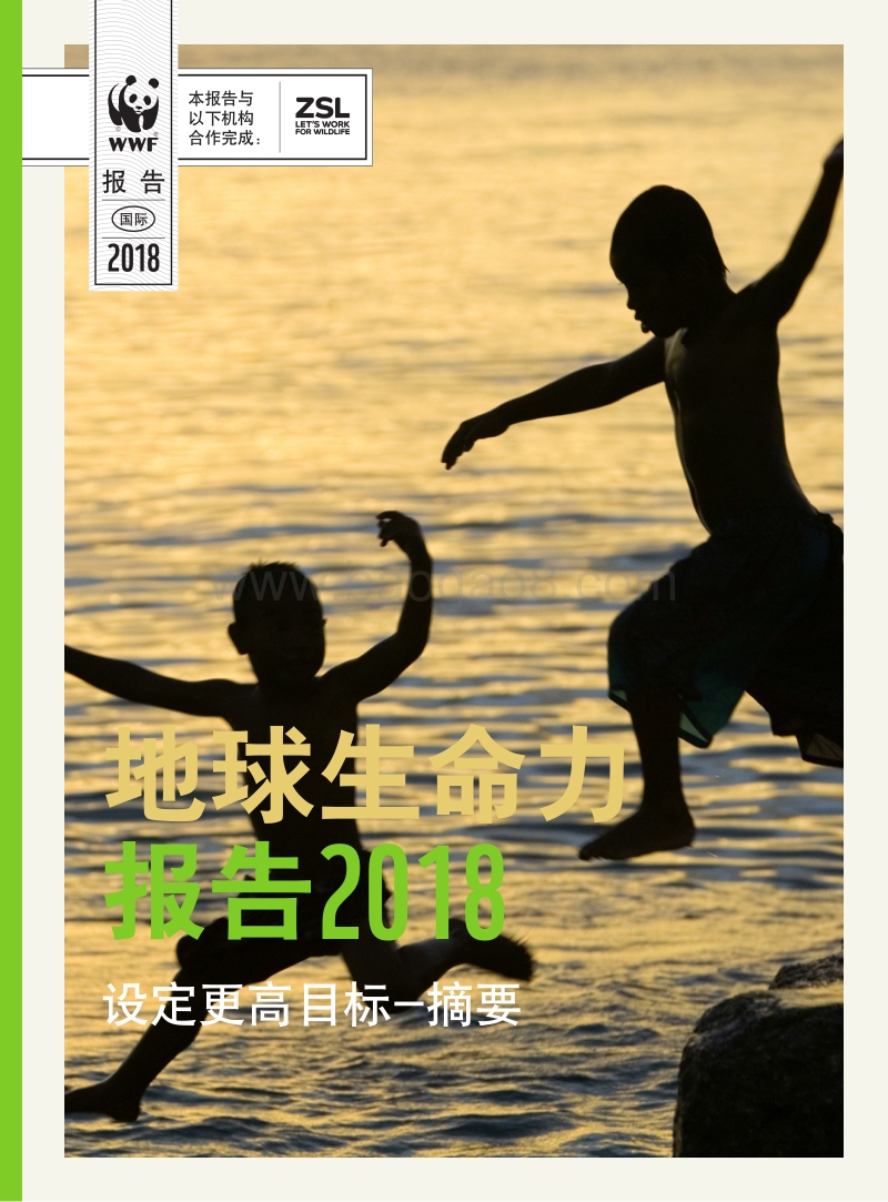 2018地球生命力报告.pdf_第1页