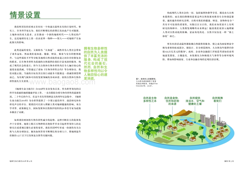 2018地球生命力报告.pdf_第3页