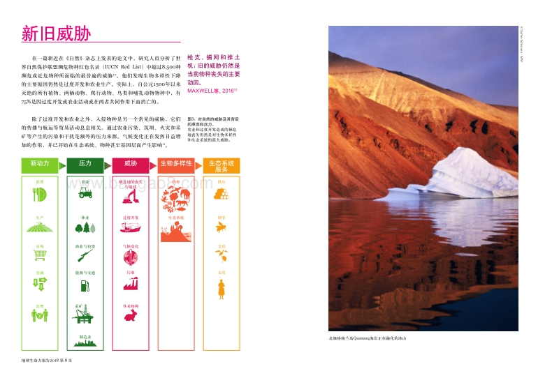 2018地球生命力报告.pdf_第5页