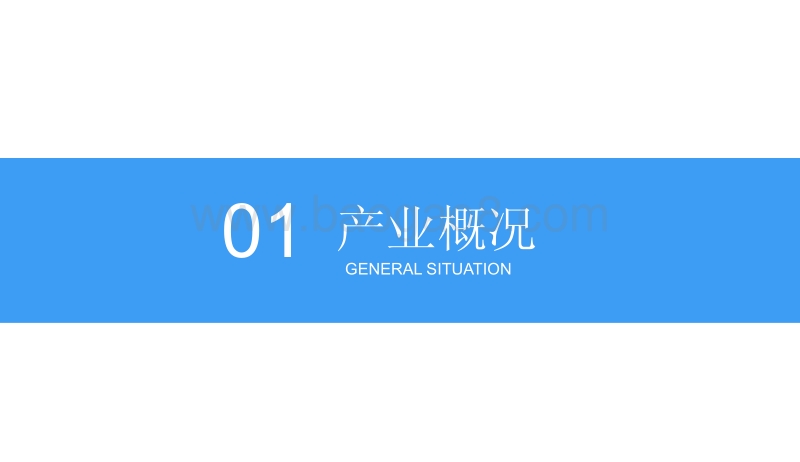 2018中国大健康产业市场前景研究报告.pdf_第4页