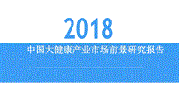 2018中国大健康产业市场前景研究报告.pdf