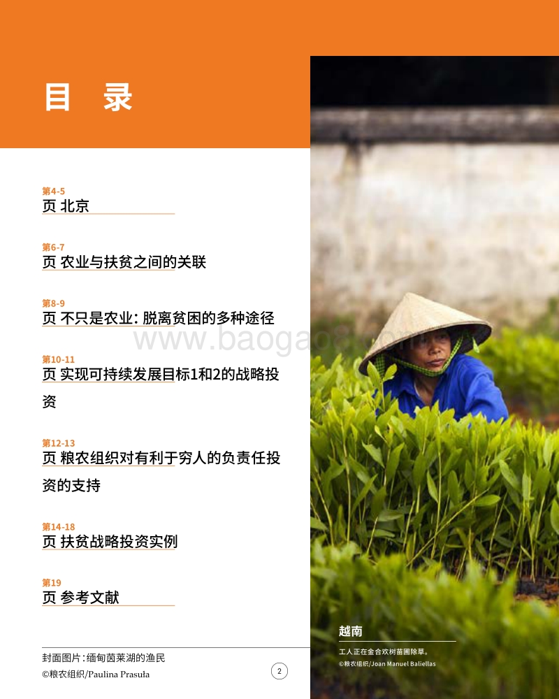 投资农业农村，消除贫困饥饿.pdf_第2页