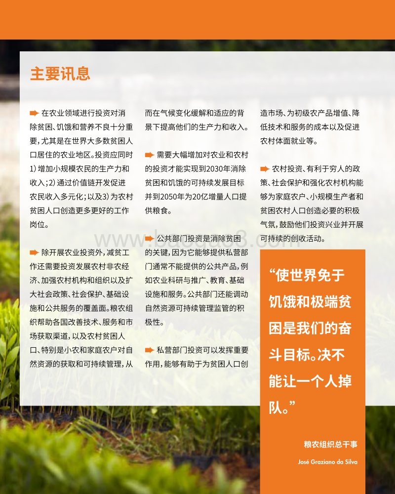 投资农业农村，消除贫困饥饿.pdf_第3页