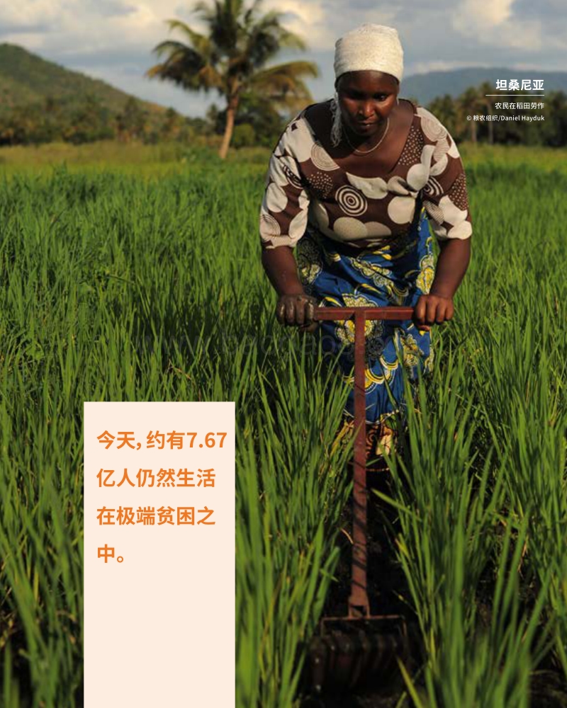 投资农业农村，消除贫困饥饿.pdf_第5页