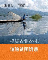 投资农业农村，消除贫困饥饿.pdf