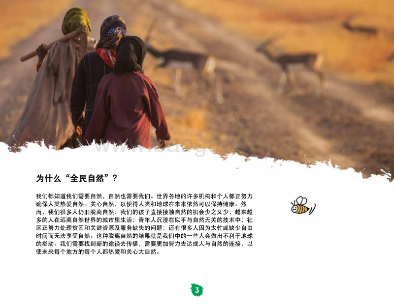 全民自然手册：唤醒自然之爱的行动指南.pdf_第5页