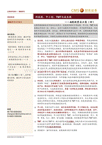 A股投资启示录（四）：科技股、中小创、TMT与成长股.pdf