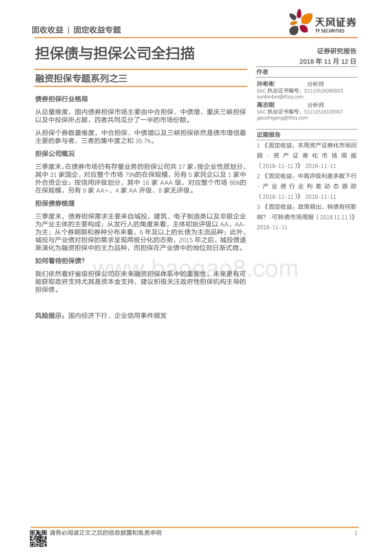 融资担保专题系列之三：担保债与担保公司全扫描.pdf_第1页