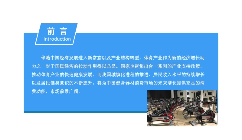 2018中国健身器材行业市场前景研究报告.pdf_第2页