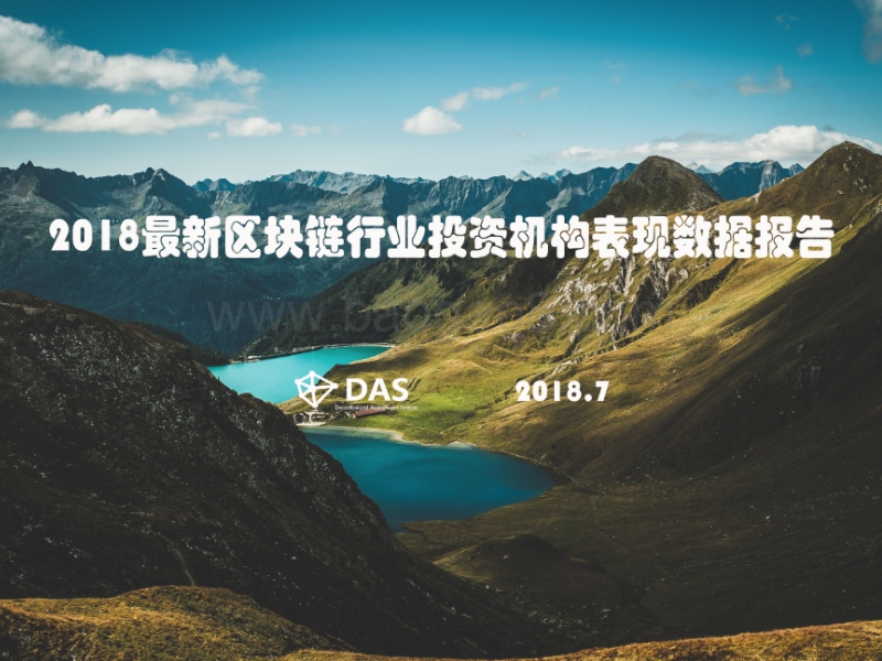 2018最新区块链行业投资机构表现数据报告.pdf_第1页