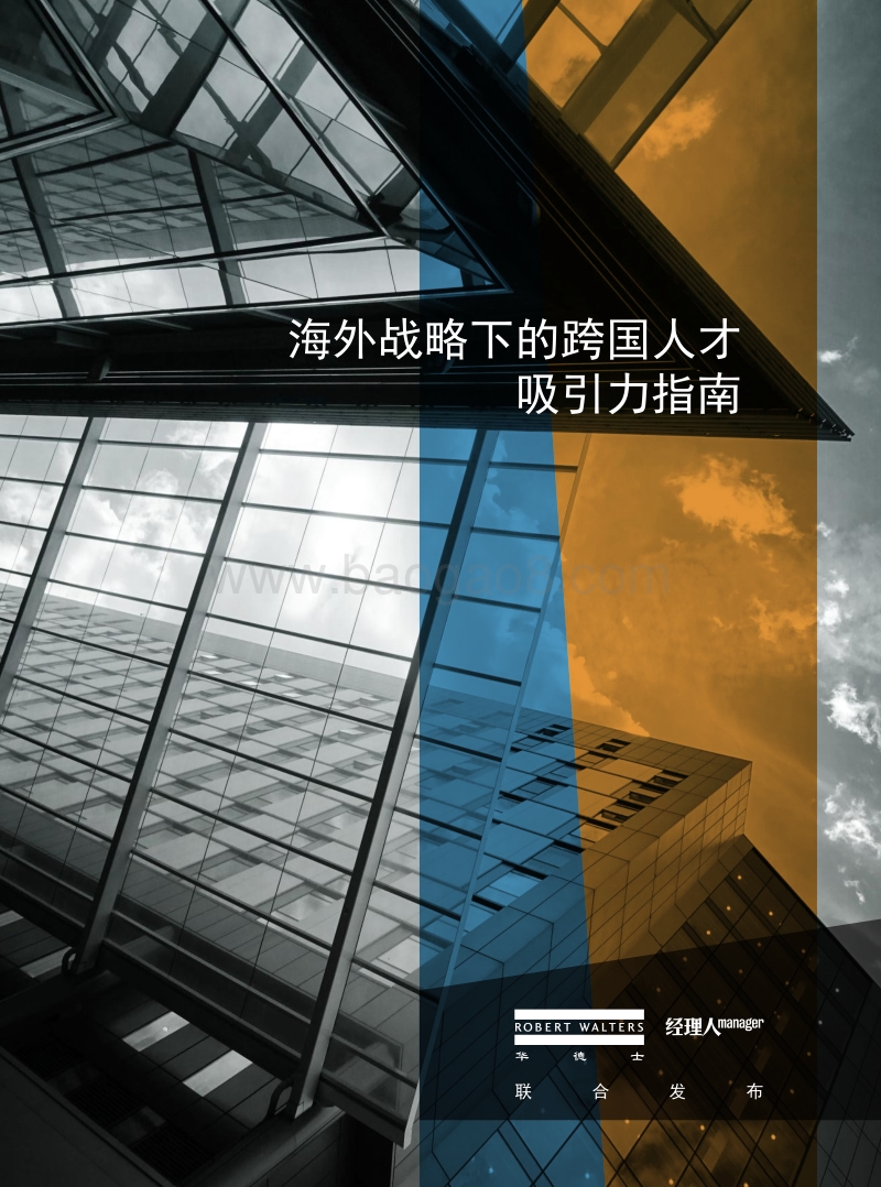 海外战略下的跨国人才吸引力指南.pdf_第1页