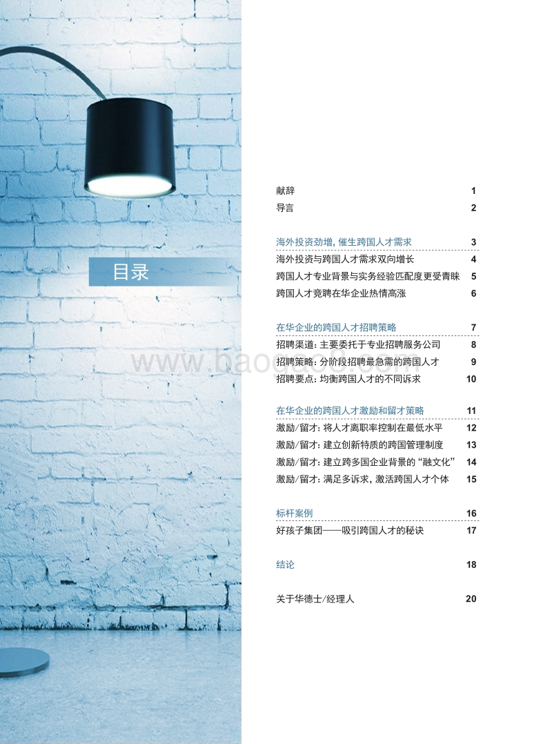 海外战略下的跨国人才吸引力指南.pdf_第2页