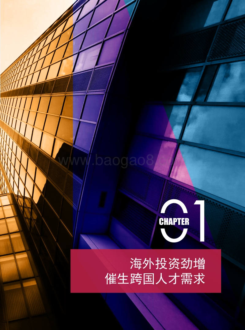 海外战略下的跨国人才吸引力指南.pdf_第5页