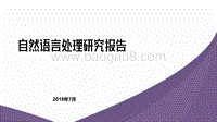 自然语言处理研究报告.pdf