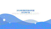 2018年民航市场半年报.pdf