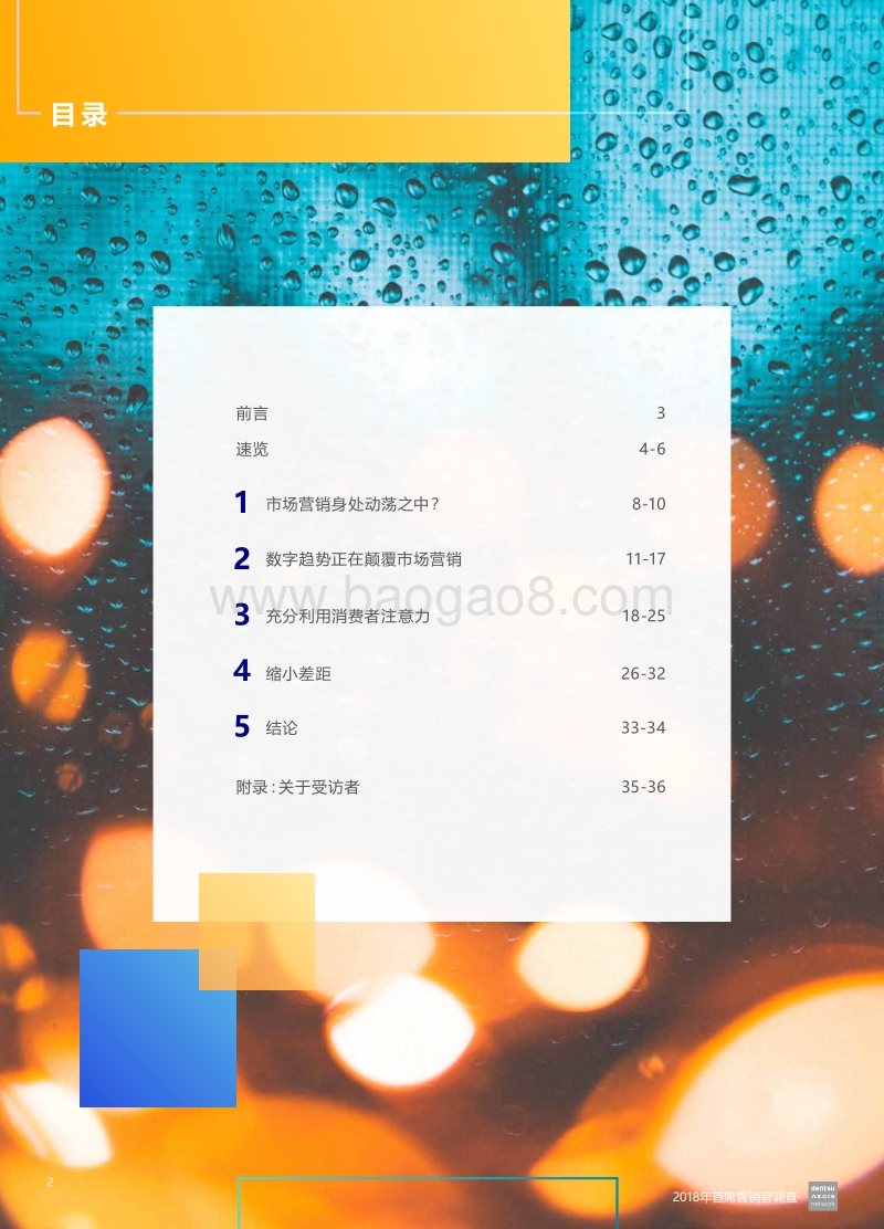 2018年首席营销官调查：品牌如何取胜数字经济.pdf_第2页