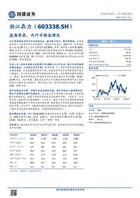 浙江鼎力：蓝海举鼎，内外并驱高增长.pdf