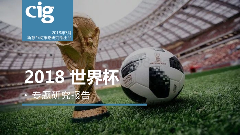 2018世界杯专题研究报告.pdf_第1页