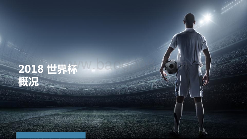2018世界杯专题研究报告.pdf_第3页