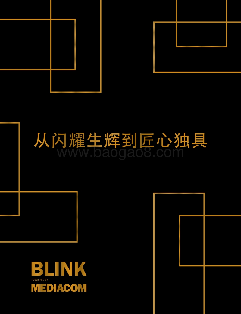 从闪耀生辉到匠心独具.pdf_第1页