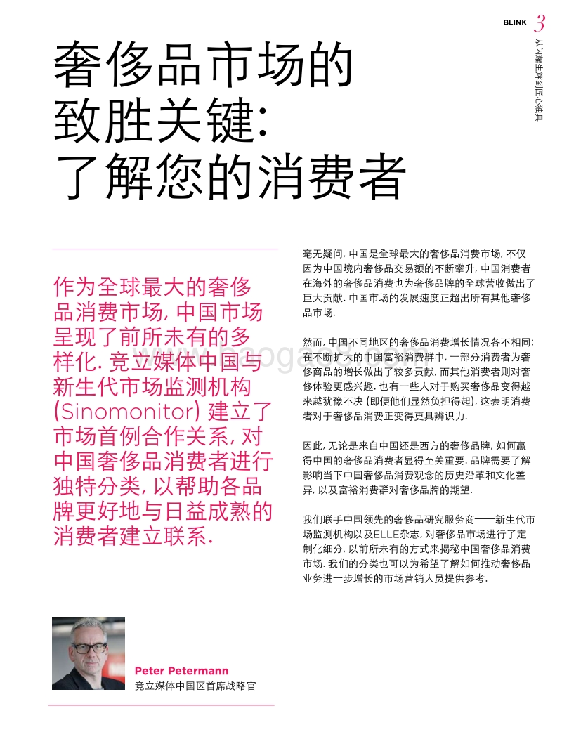 从闪耀生辉到匠心独具.pdf_第5页